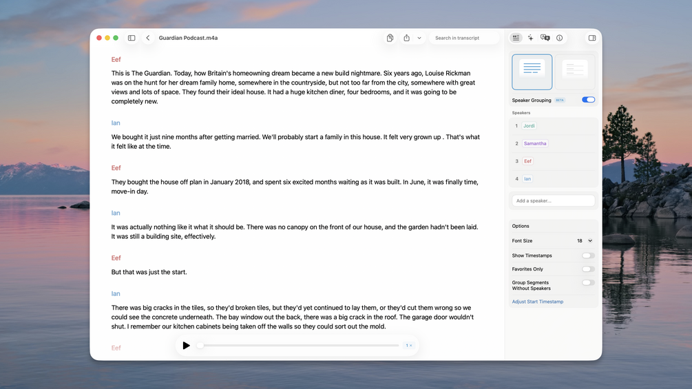 Preview of MacWhisper